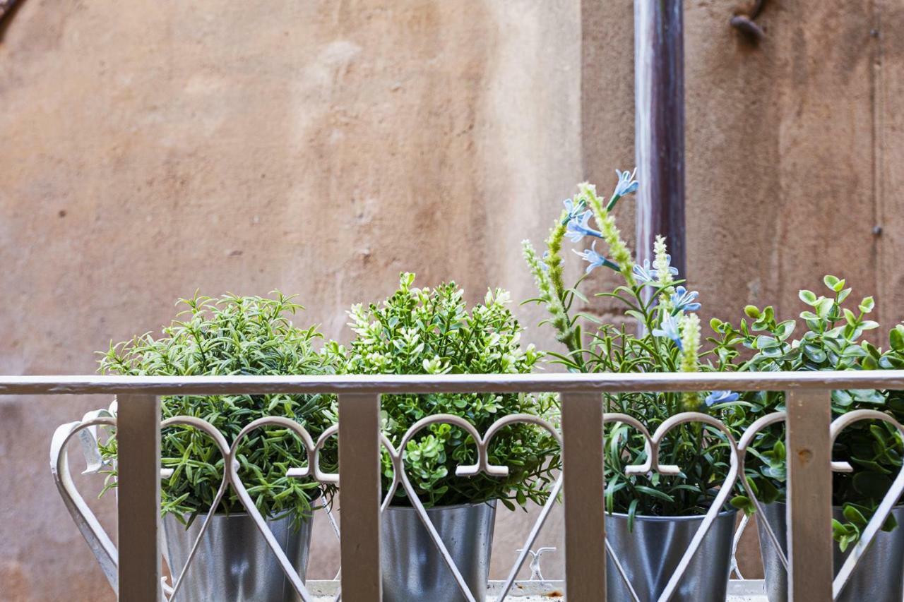 Wood And Stone In The Historical Center * Genua